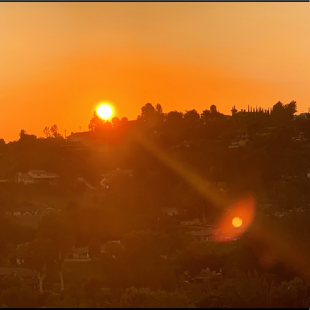 MEET YOUR POSHER! 😁